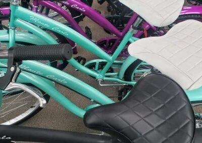 Mobile Bike Mechanic Service LA: A friendly customer greeting The Bike Man technician in a residential driveway for convenient mobile service.